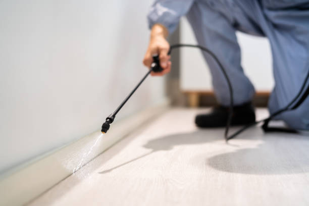 Bed Bug Pre-Treatment Preparation Assessment in Mount Zion