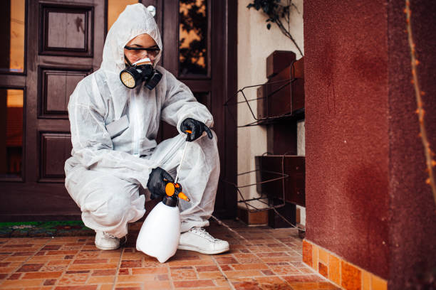 Multi-Unit and Airbnb Bed Bug Protocol in Mount Zion