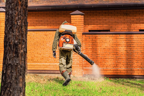 Bed Bug Clearance Verification and Documentation in Mount Zion
